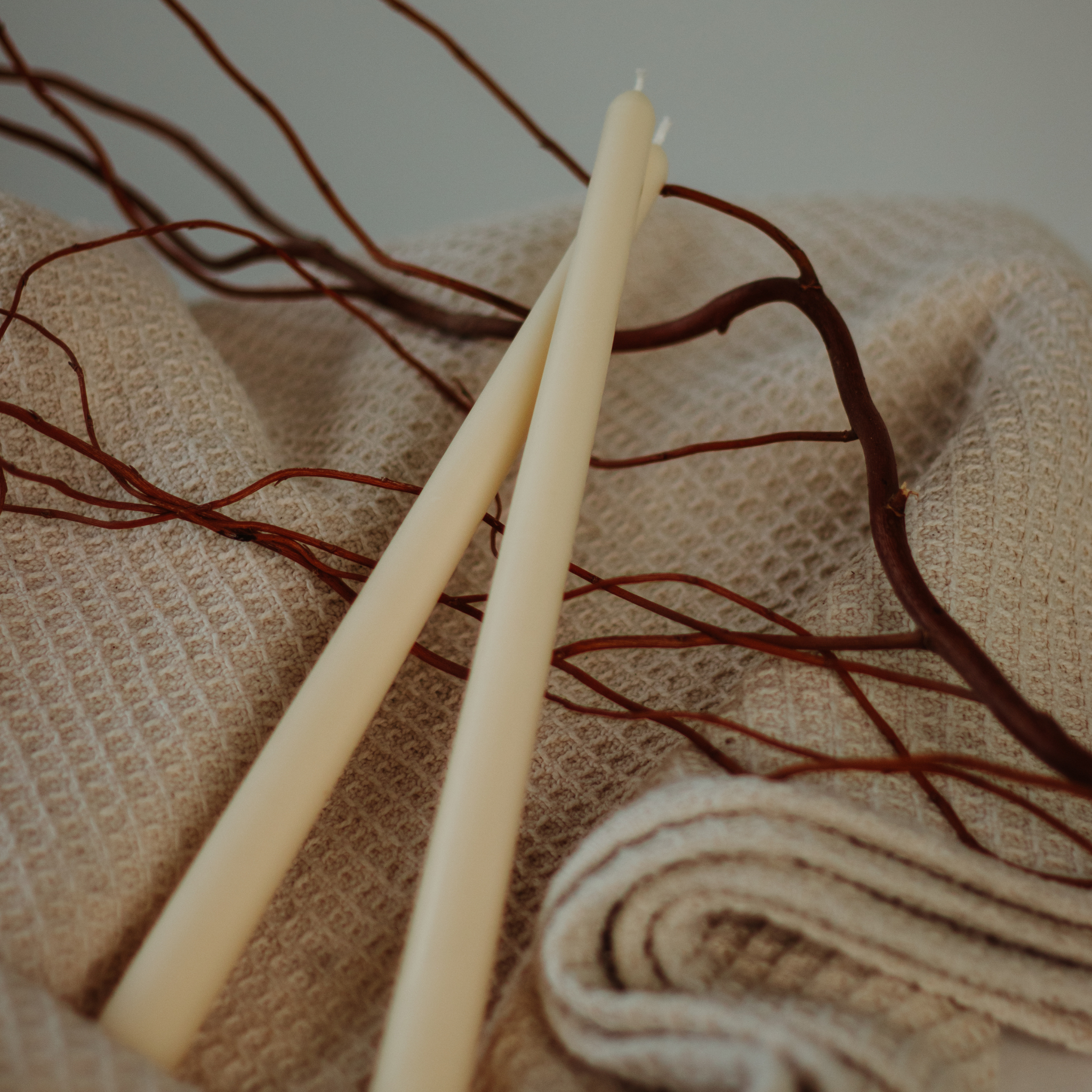 Sojų vaško žvakės subtilaus dizaino ant šilto fono su medžio šakelėmis