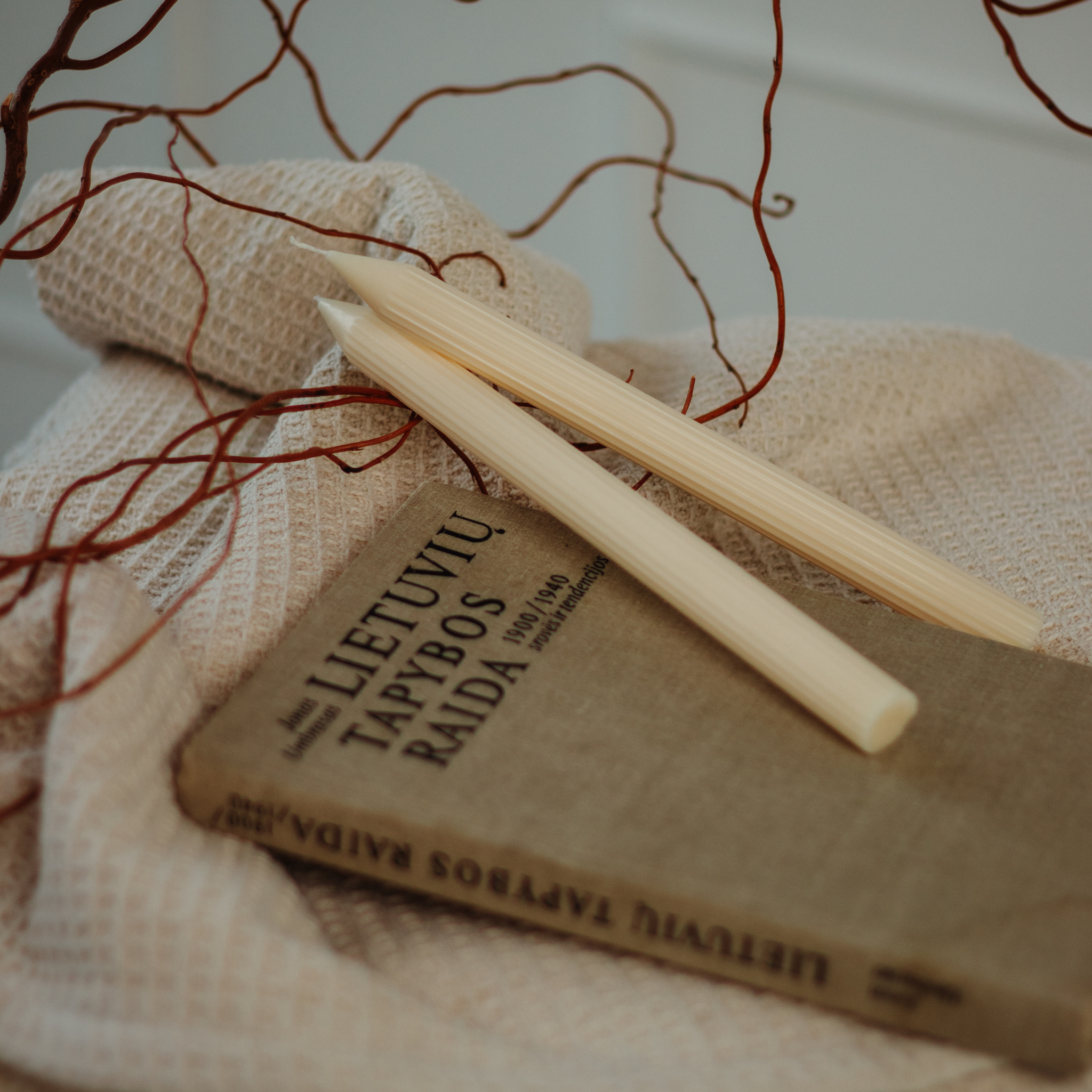 Sojų vaško stalo žvakė "Sovija" su vertikaliu raštu ant knygos fono