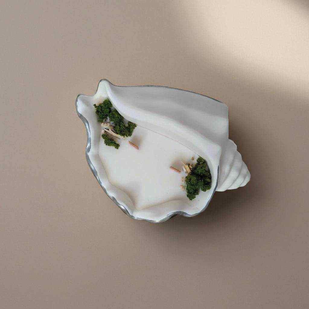 Žvakė "švelni Banga" su jūros kriauklės formos indeliu ir žaliuojančiomis dekoracijomis