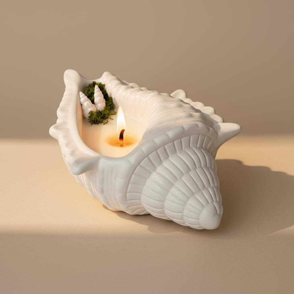 Žvakė Jūros Žavesys formos kaip jūros kriauklė namų interjero akcentui